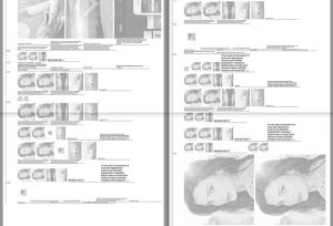 PDGD-ITW-EmiliePillet, Image 2