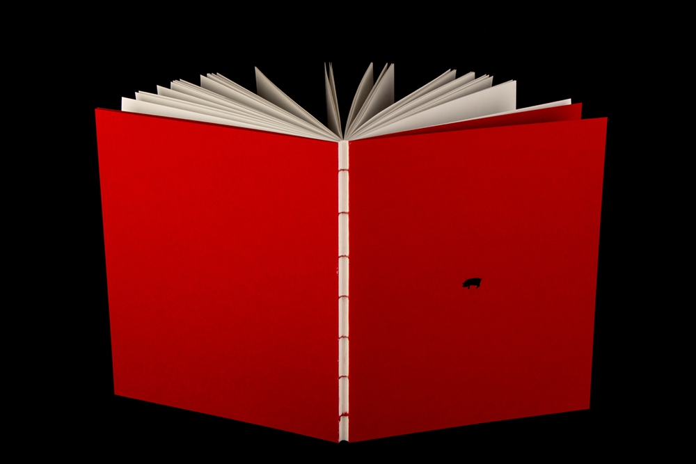 Preview for Interview Ted Davis